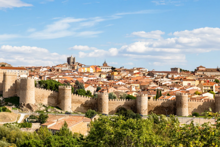 Visita Ávila (17 De Febrero) queda 20 plazas